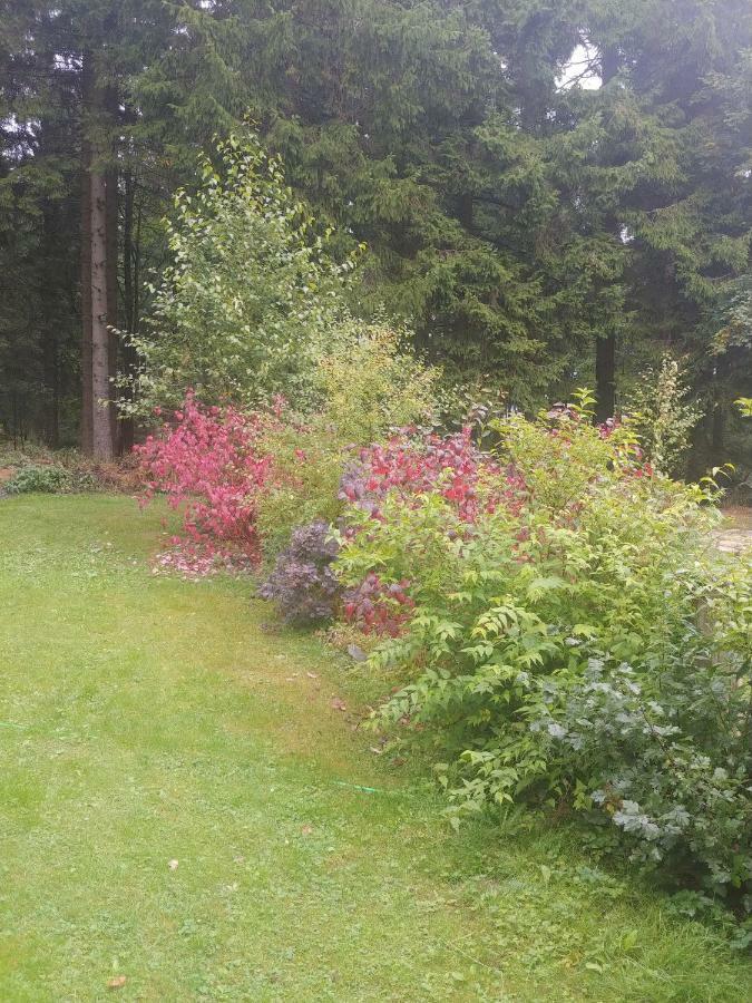 Wanderhuette Zum Bernhardsthal Villa Eksteriør bilde
